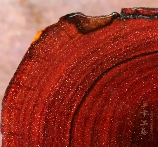 印度小叶紫檀木料金星野生原木段料珠子料高密笔筒老料手镯工艺料