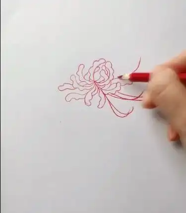 红色彼岸花简笔画步骤 花朵简笔画