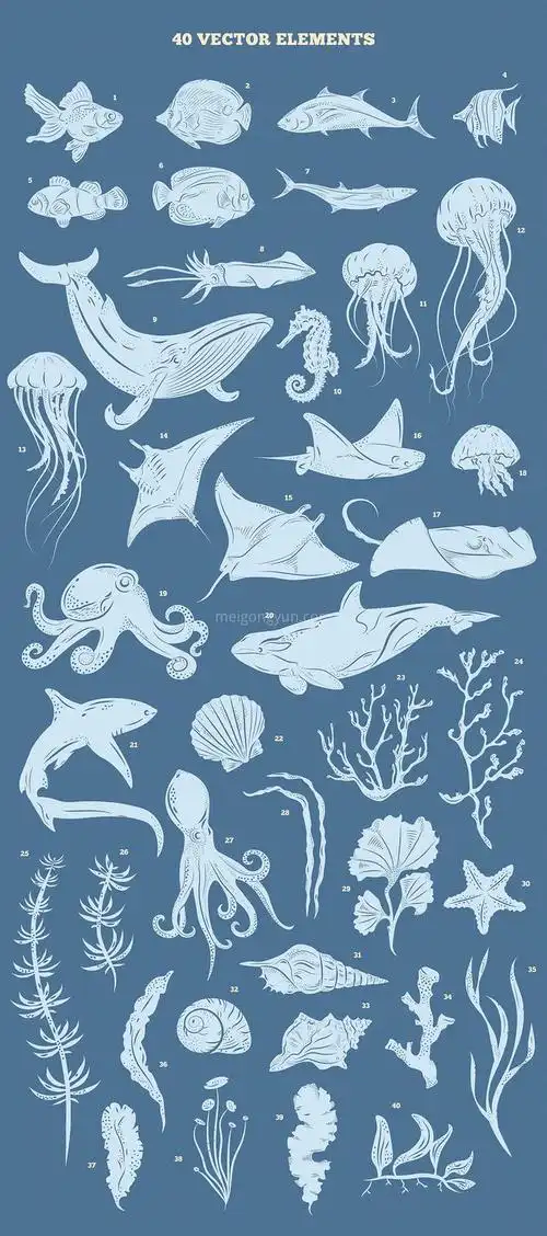 海洋主题矢量海洋动物插画设计素材underwaterkingdomgraphicstoolkit