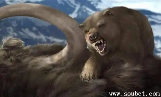 世界最大的熊,短面熊和剑齿虎谁厉害