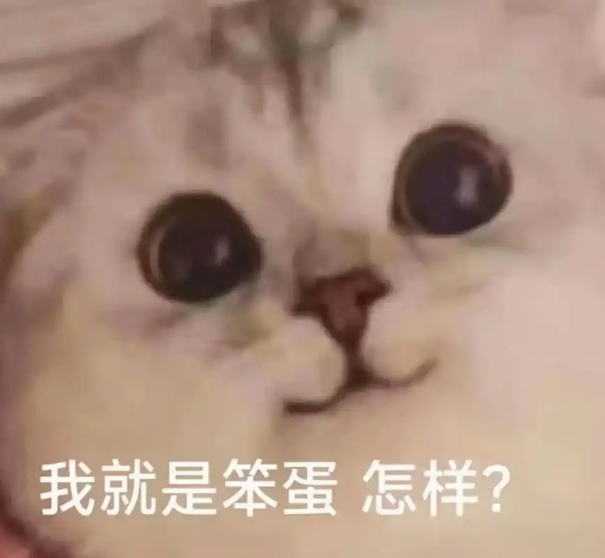 我就是笨蛋,怎样?#猫咪 #表情包 #沙雕表情包 - 抖音