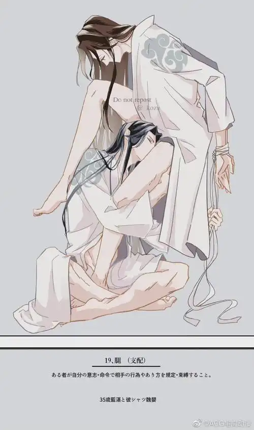 魔道祖师忘羡##蓝忘机魏无羡天生一对