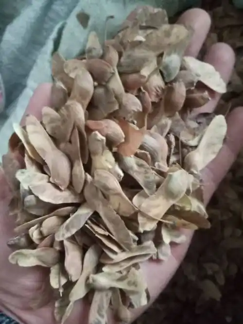 姚爱军 - 惠农网基础店铺 - 惠农网