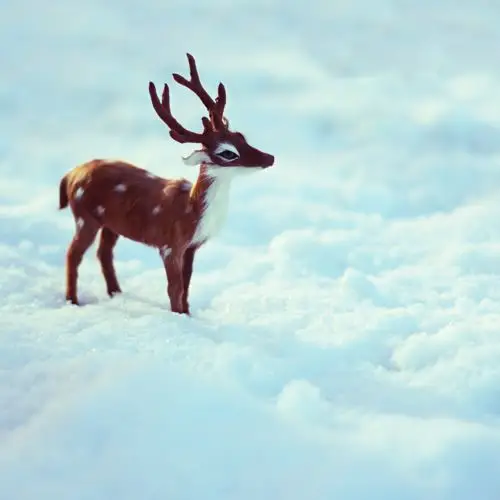 雪地小鹿头像