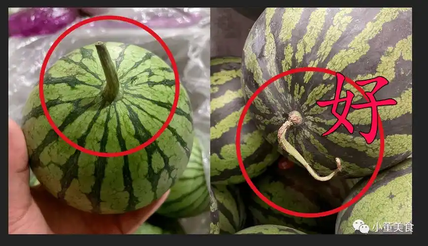 西瓜甜不甜,看一眼这里就知道,保你一挑一个准,果农方法真管用