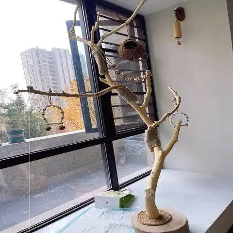 鹦鹉站架大型树枝鹦鹉专用站架树枝原木杈干枝枯木玄风鸟站架造型 1.