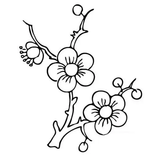 梅花的简单画法