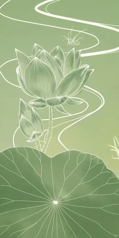 线描荷花练习|插画|插画习作|ztt翟婷 - 原创作品 - 站酷 (zcool)