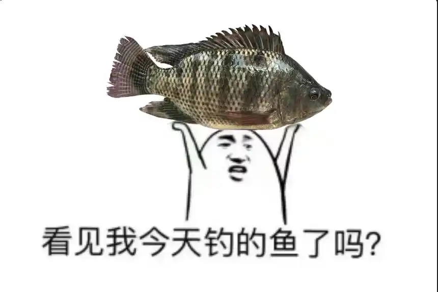 不允许钓友还没有表情包  还缺什么鱼种.#图文伙伴计划 #表 - 抖音