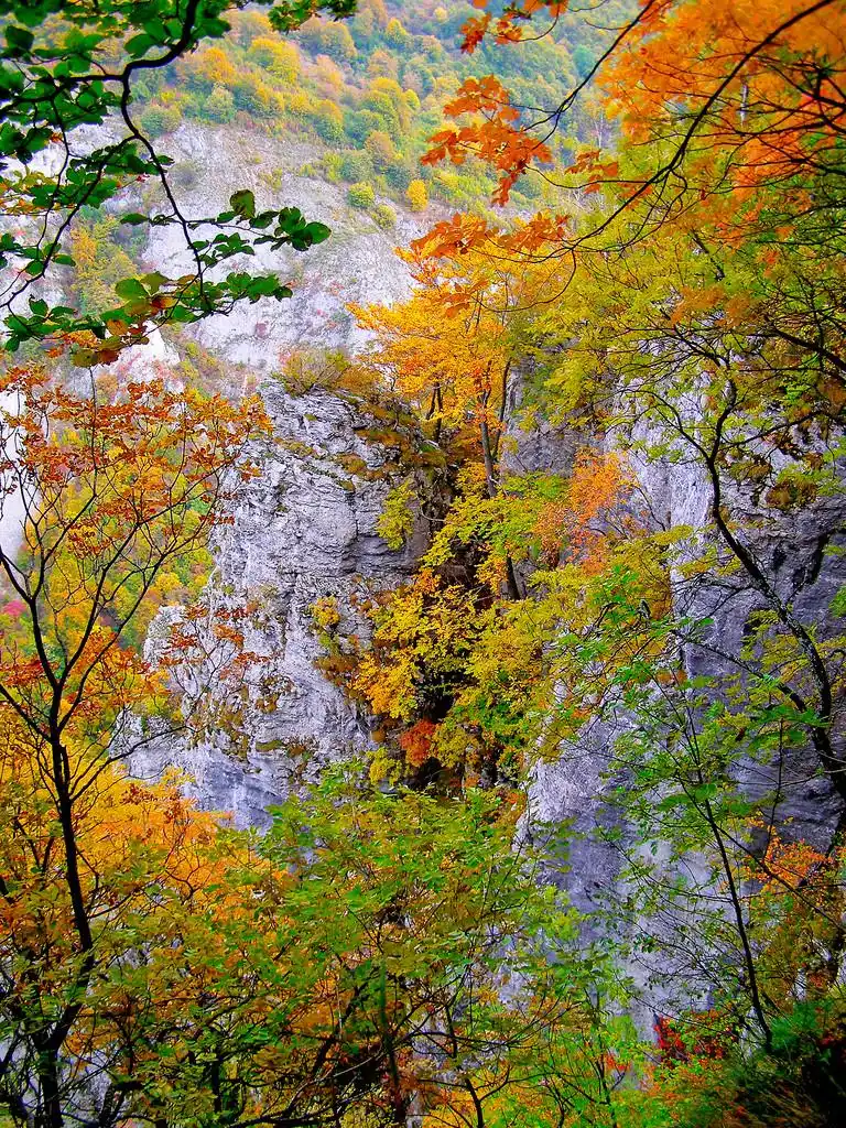 在山中的秋天图像,中野山秋形象