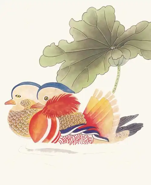 鸳鸯戏水图片psd素材