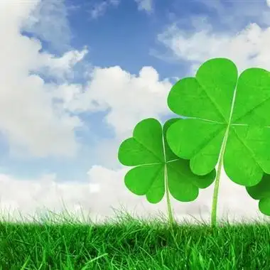 幸运草微信头像2020幸运草幸运图片给你带来好运吧