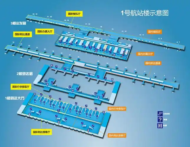 上海浦东国际机场t1航站楼的公交线路