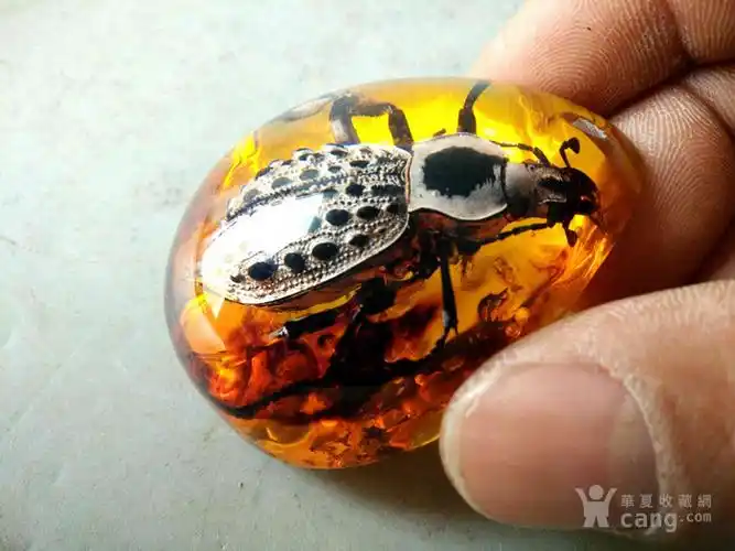 清代天然虫珀挂件