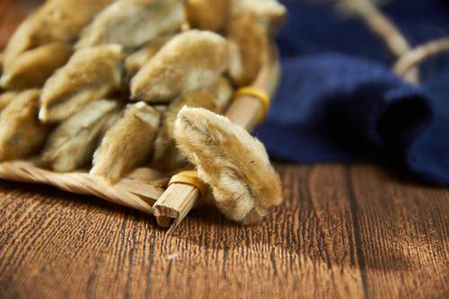 正品新货野生中药材辛夷花500g克 毛桃玉兰花茶枕芯发精选中草药