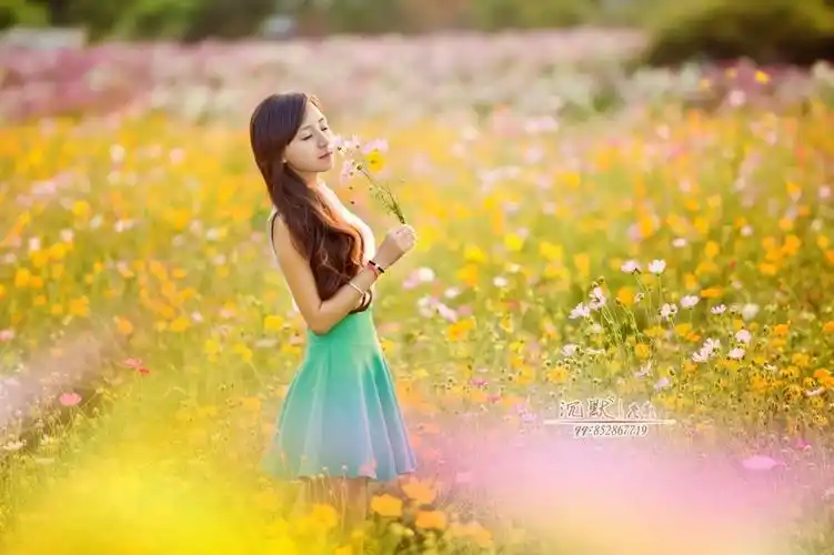 漫天飞花格桑开 - 梦中情 - 浅笑淡然