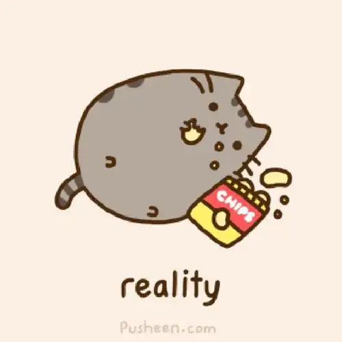 pusheengif动物gif萌宠gif二次元gif