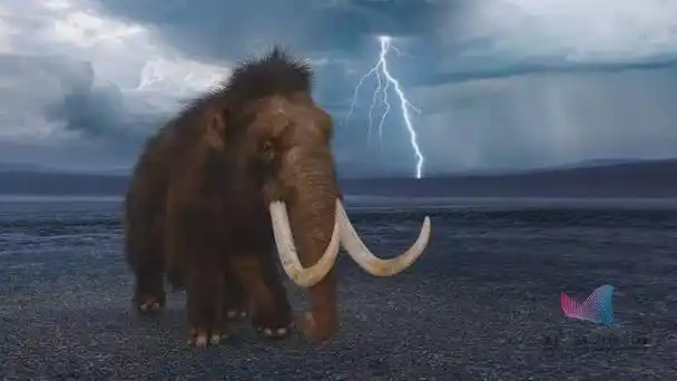 这个中国特有物种宣布灭绝:活了上亿年,却没能跨入2020年