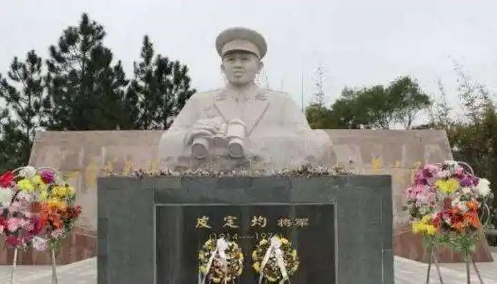 皮定均牺牲15年后妻子想将骨灰迁出八宝山中央思考再三同意