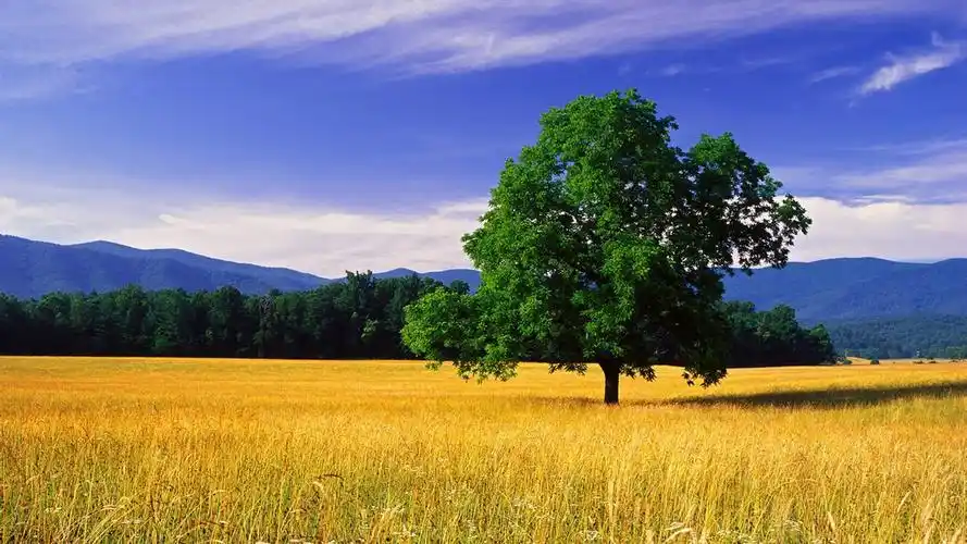 自然风光精美壁纸(一)8 - 1366x768