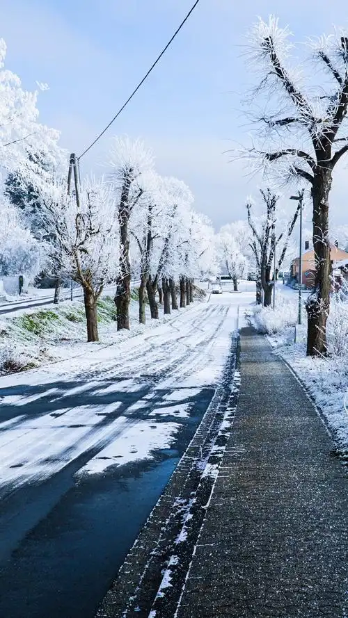 一年有四个季节,每个季节都有不同的景色,而我最喜欢冬天下雪