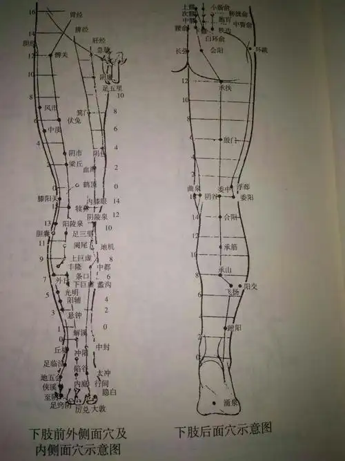 健身气功·马王堆导引术图示 编辑整理:张丽荣 图片提供:董秀萍