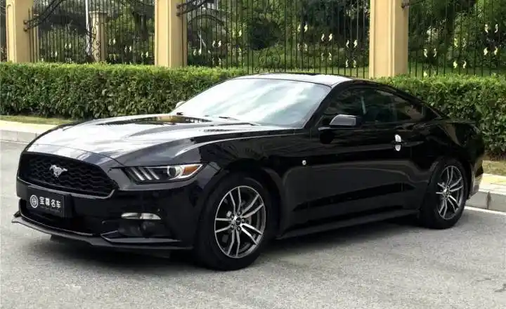 福特 野马 2.3t 运动版 黑色 手自一体