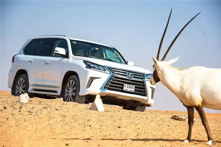 丰田雷克萨斯570升级豪华航空座椅,追求完美的越野suv