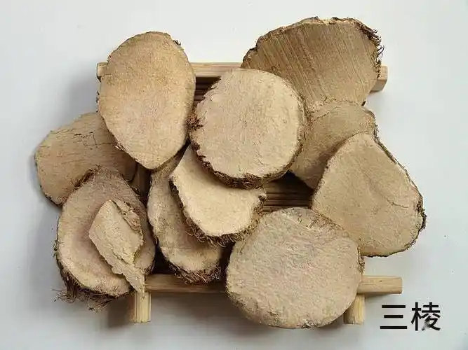 每天学习一味中药三棱