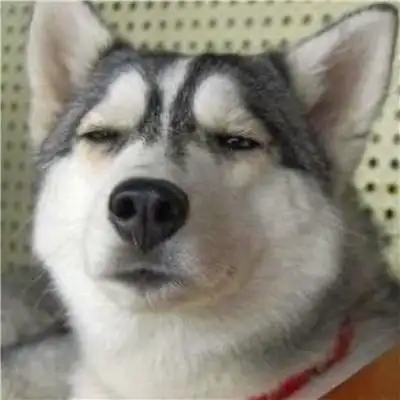 2人基友头像沙雕智障图片_基友男生头像_头像屋