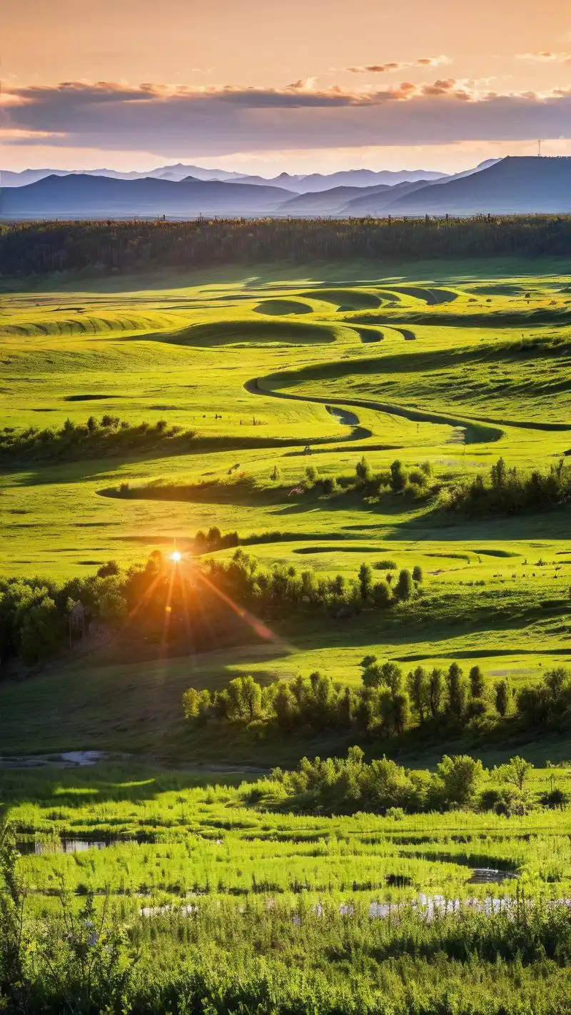 97纯绿色草原手机壁纸精选95