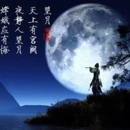 望星空十五的月亮