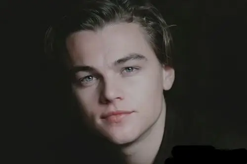 小李子 - 堆糖,美图壁纸兴趣社区