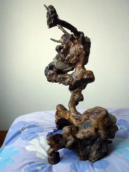 荆棵根雕(根抱石)鉴赏