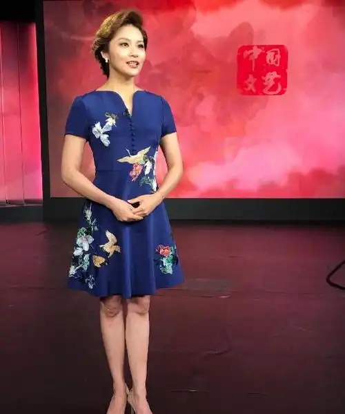 中国文艺主持人孟盛楠个人资料 工作的女强人