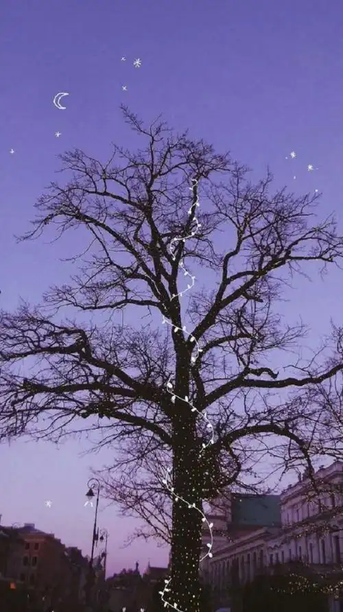 不识初阳·捻清月·清新壁纸:"阳光洒下温柔,便是炙热的月影"