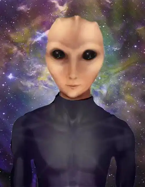 灰人金星人 昂宿星人人族蜥蜴人其他种类外星人照片2007年丹麦发现的