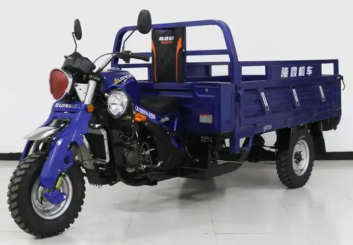隆鑫牌正三轮摩托车价格|配件|参数-王力汽车网