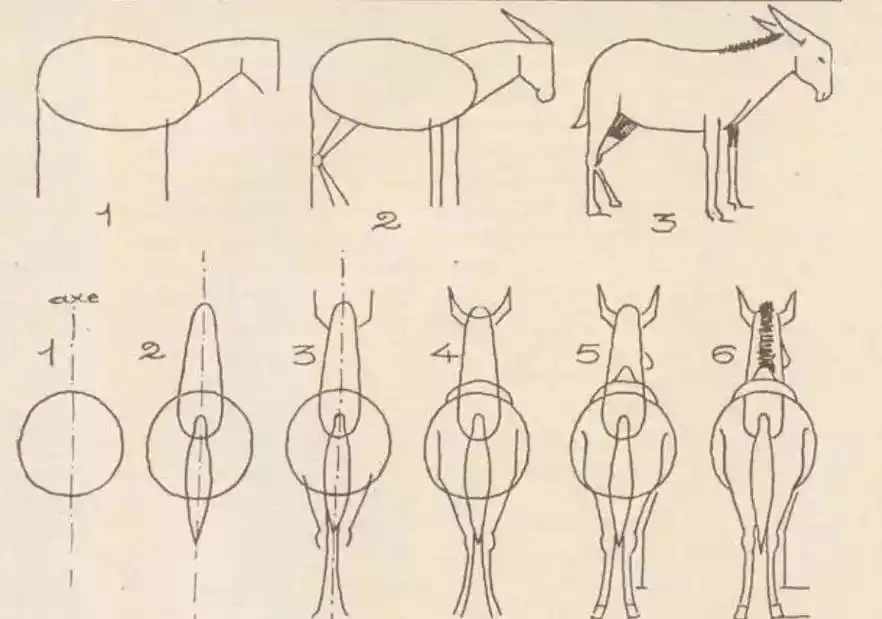 图文伙伴计划 #简笔画  牛气冲天 - 抖音