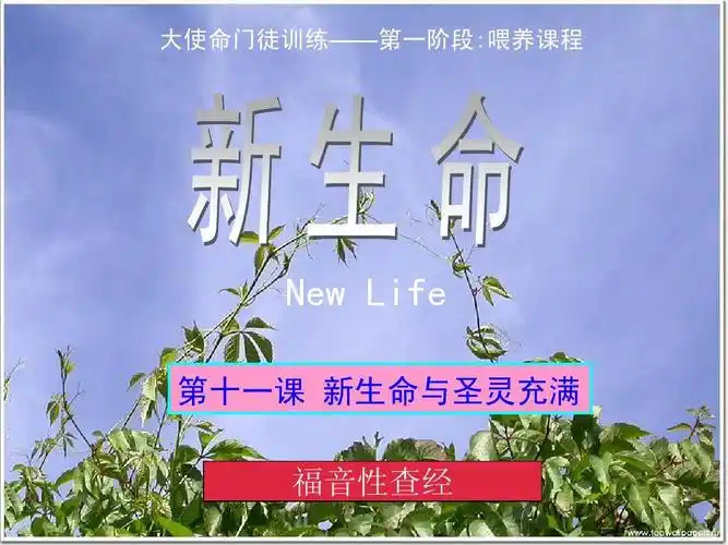 门徒训练——第一阶段:喂养课程 new life 第十一课 新生命与圣灵充满