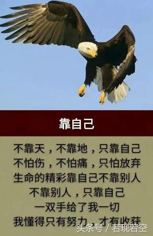 成功靠自己,靠天靠地靠祖宗,都不是好汉!(好有骨气)