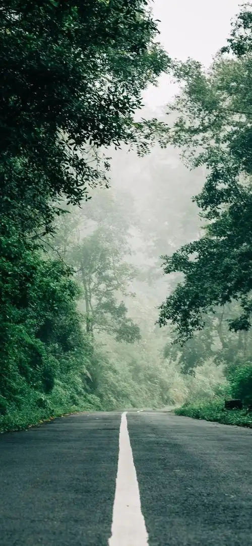 精选的风景微信聊天壁纸