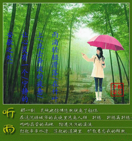 竹林听雨