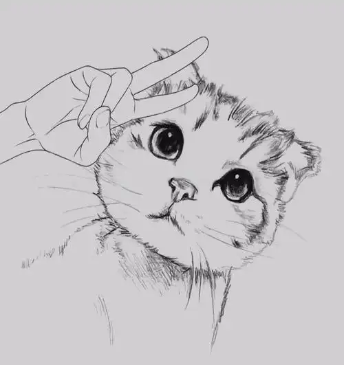 谁家的喵,可爱的让人心碎.#素描画  #素描头像