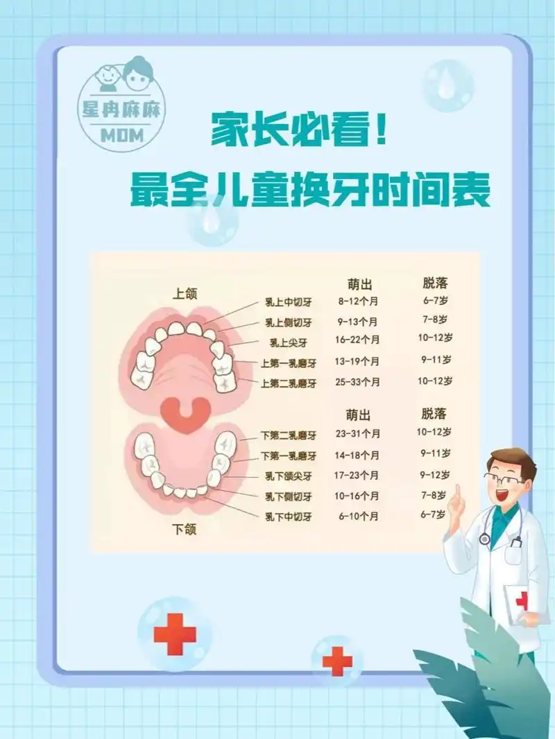 众所周知,人的一生中要长两次牙齿,即乳牙和恒牙.