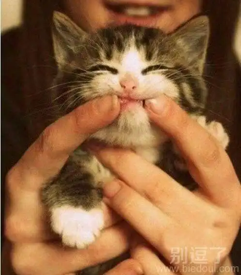 最新幽默笑话大全,搞笑段子大全,搞笑动态图片大全-第11121页别逗了