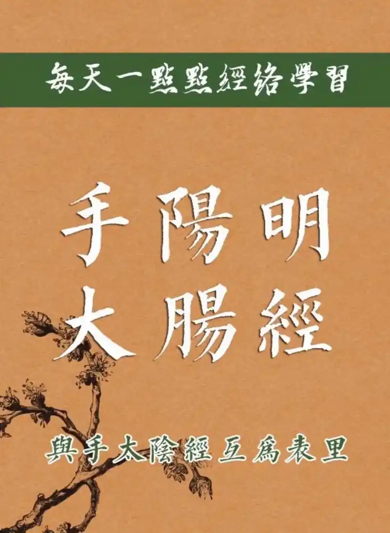 手阳明大肠经经穴 97手阳明大肠经起 - 抖音
