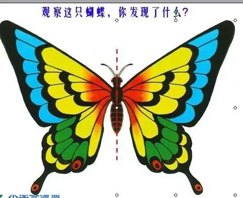 任士程的对称图形美篇