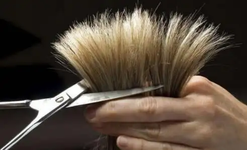 一根头发最大能承受多少重量?