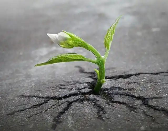 做最坚强的自己演讲稿